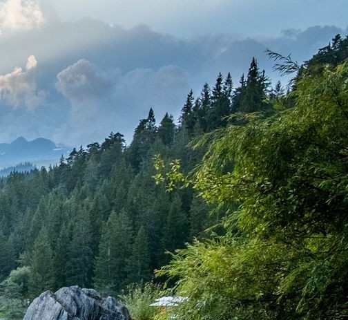 粉象生活购物技巧