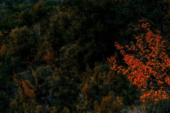 粉象生活赚钱教程