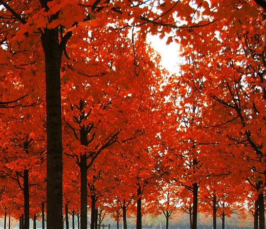 广东广州深圳粉象生活