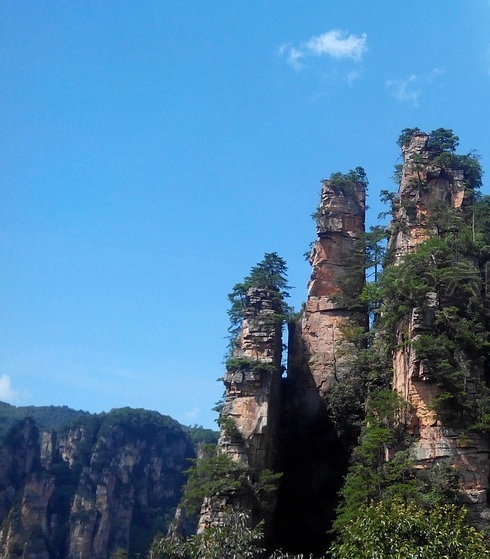 白山粉象生活app