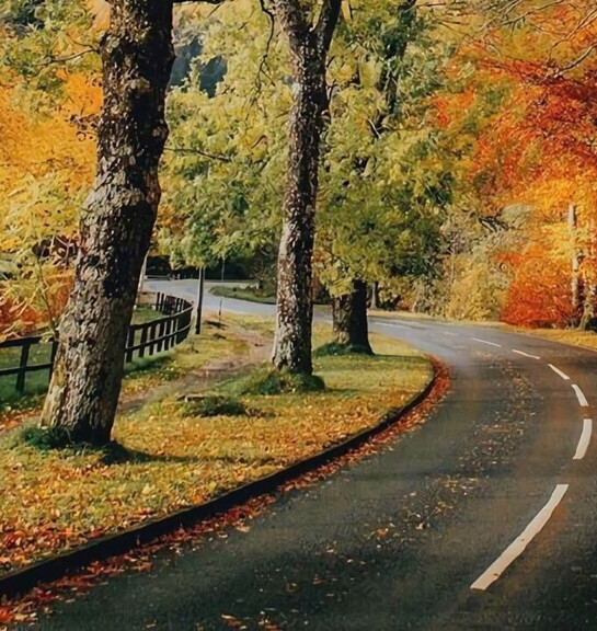 粉象生活是干嘛的