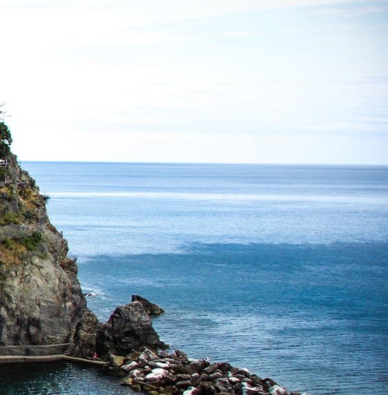 粉象生活开店是什么