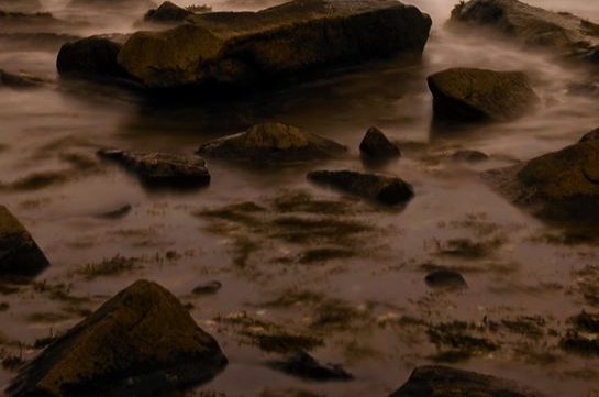 粉象生活能赚到钱吗