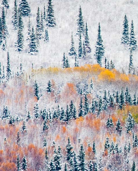 淘粉生活如何快速获得积分