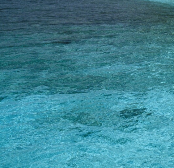 粉象生活股东名单