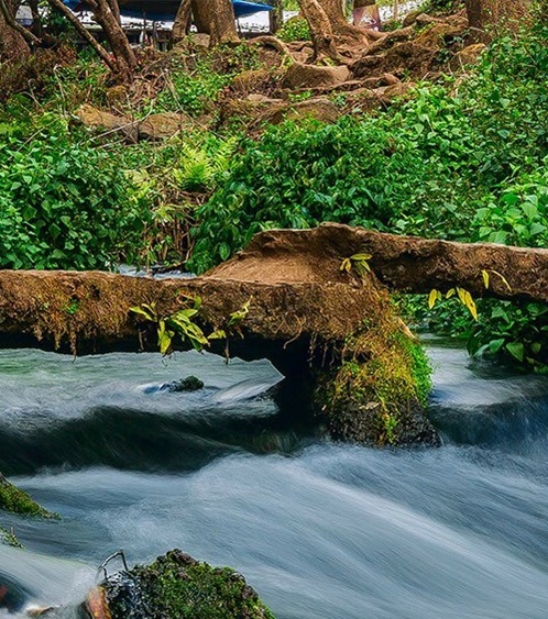 粉象生活赚钱教程