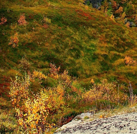 粉象生活1000优惠券