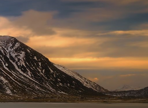 粉象生活平台加盟
