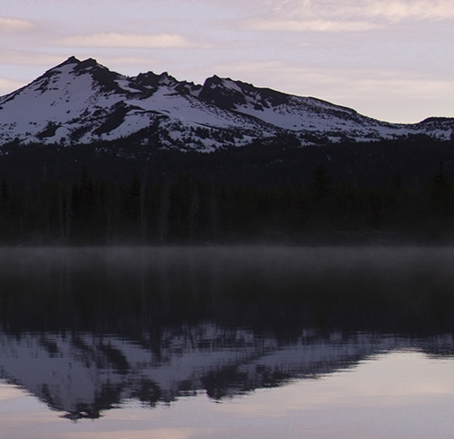 粉象生活返佣是真的吗