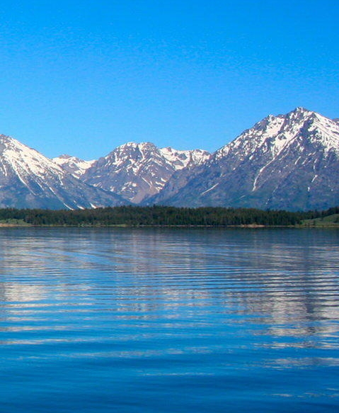 赣州粉象生活加盟