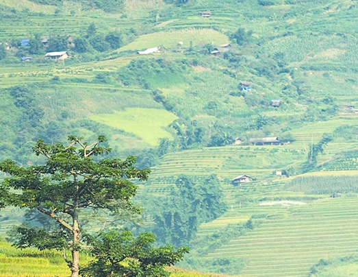 粉象生活邀请码