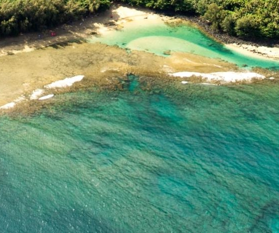 阳江粉象生活合伙人