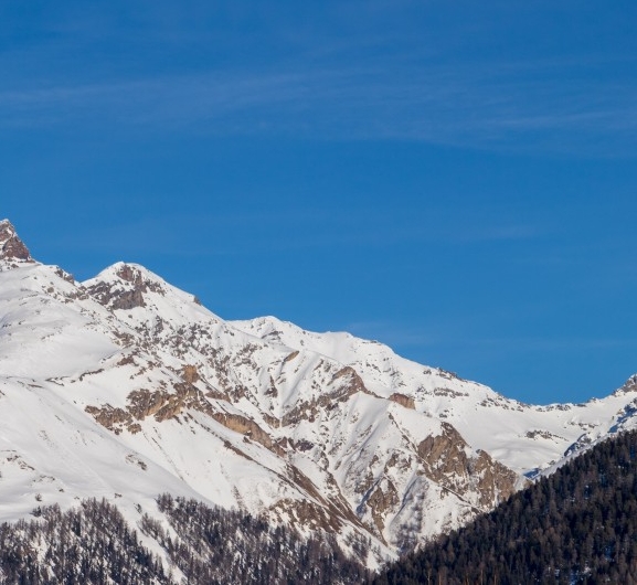 粉象生活用什么软件比较好