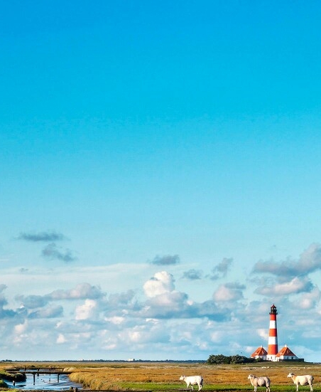 粉象生活一天能赚多少钱