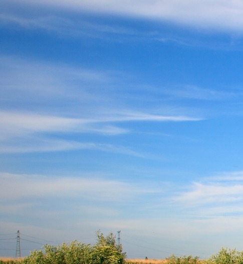 粉象生活怎么做引流