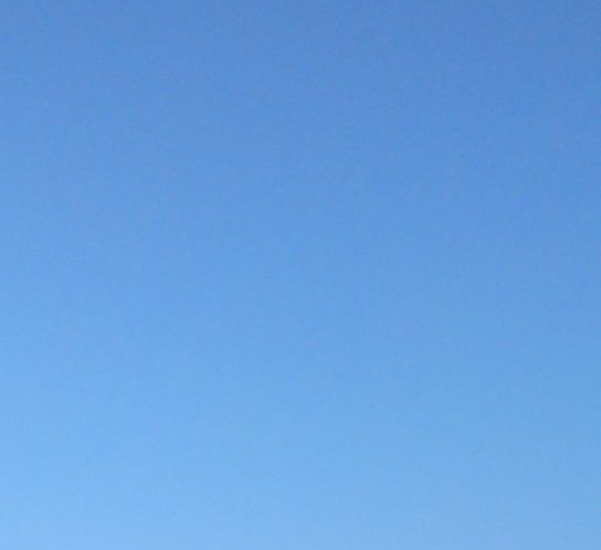 粉象生活是什么?