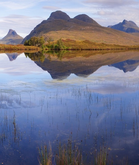 粉象生活邀请码