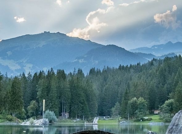 粉象生活粉丝怎么增加