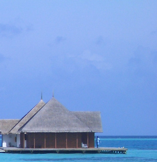 粉象生活邀请人怎么看