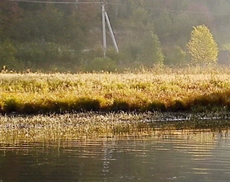 粉象生活邀请码