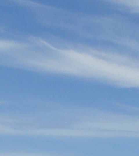 粉象生活怎么赚钱