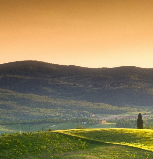 电商粉象生活是什么意思