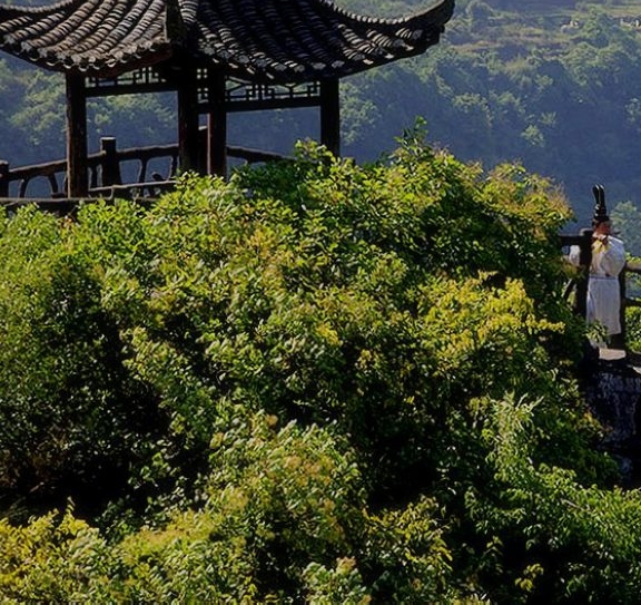 粉象生活头像图片