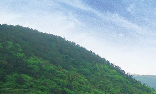 真实的杭州租房生活