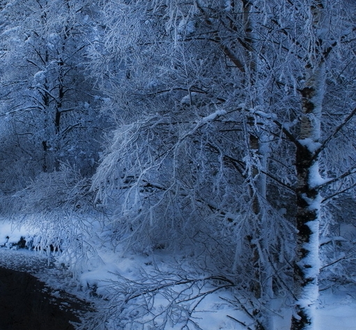 粉象生活赚钱晋升讲解