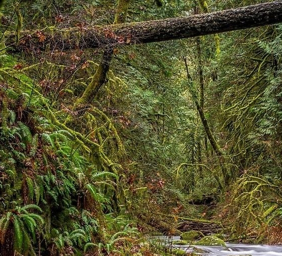 杭州粉象生活推广