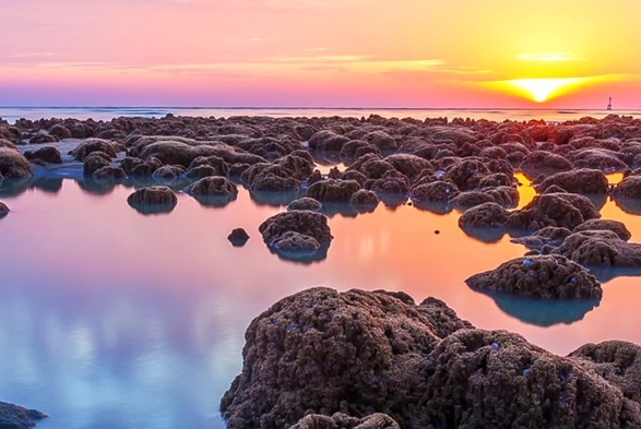 下载粉象生活会上当吗
