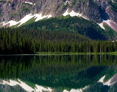 快手介绍的粉象生活