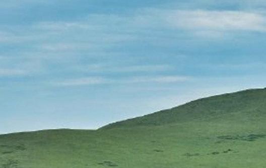 粉象生活是什么?