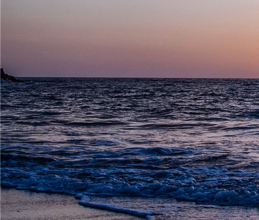 粉象生活变成积分