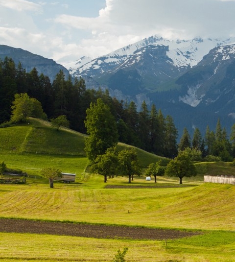 粉象生活签到页面