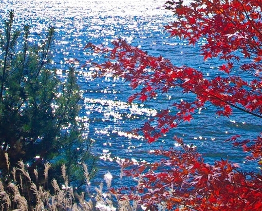 疫情过后的生活图画