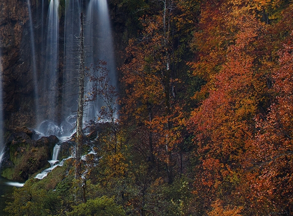 粉象生活分现金活动在哪