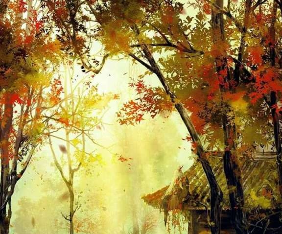 下载了粉象生活再怎么弄