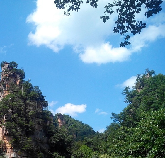 粉象生活怎么用