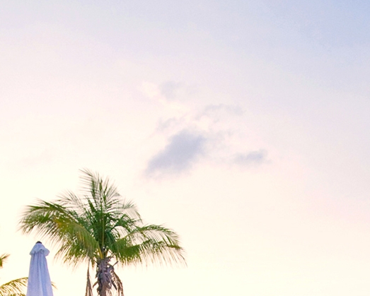 粉象生活app是干嘛的