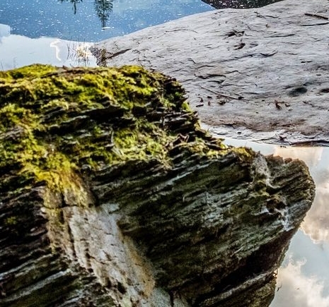 粉象生活赚钱的要素