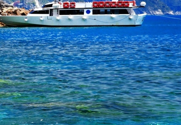 粉象生活赚佣金模式