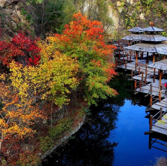 粉象生活小红书