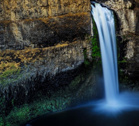 粉象生活怎么看上级邀请码
