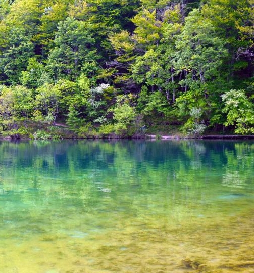 生活纸巾进货渠道