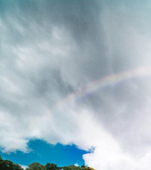 粉象生活怎么赚钱