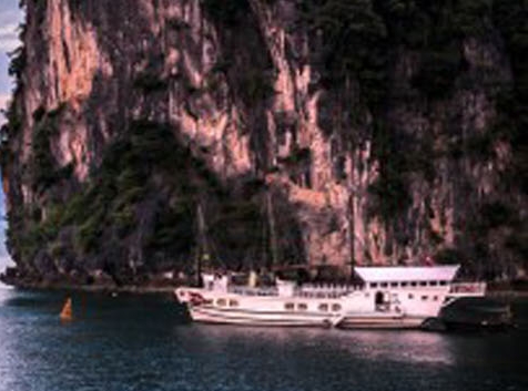 粉象生活如何用邀请码登录