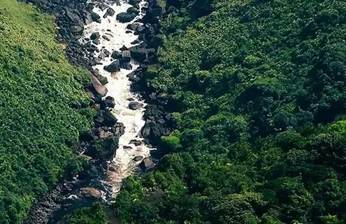 粉象生活怎么赚钱的