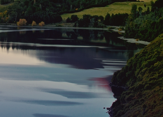 粉象生活真实收入