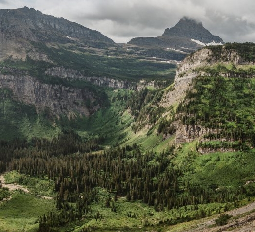 阳江粉象生活代理